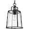 Progress Lighting Benton Harbor Collection One-Light Hanging Lantern with DURASHIELD P550065-031 - alternate 7